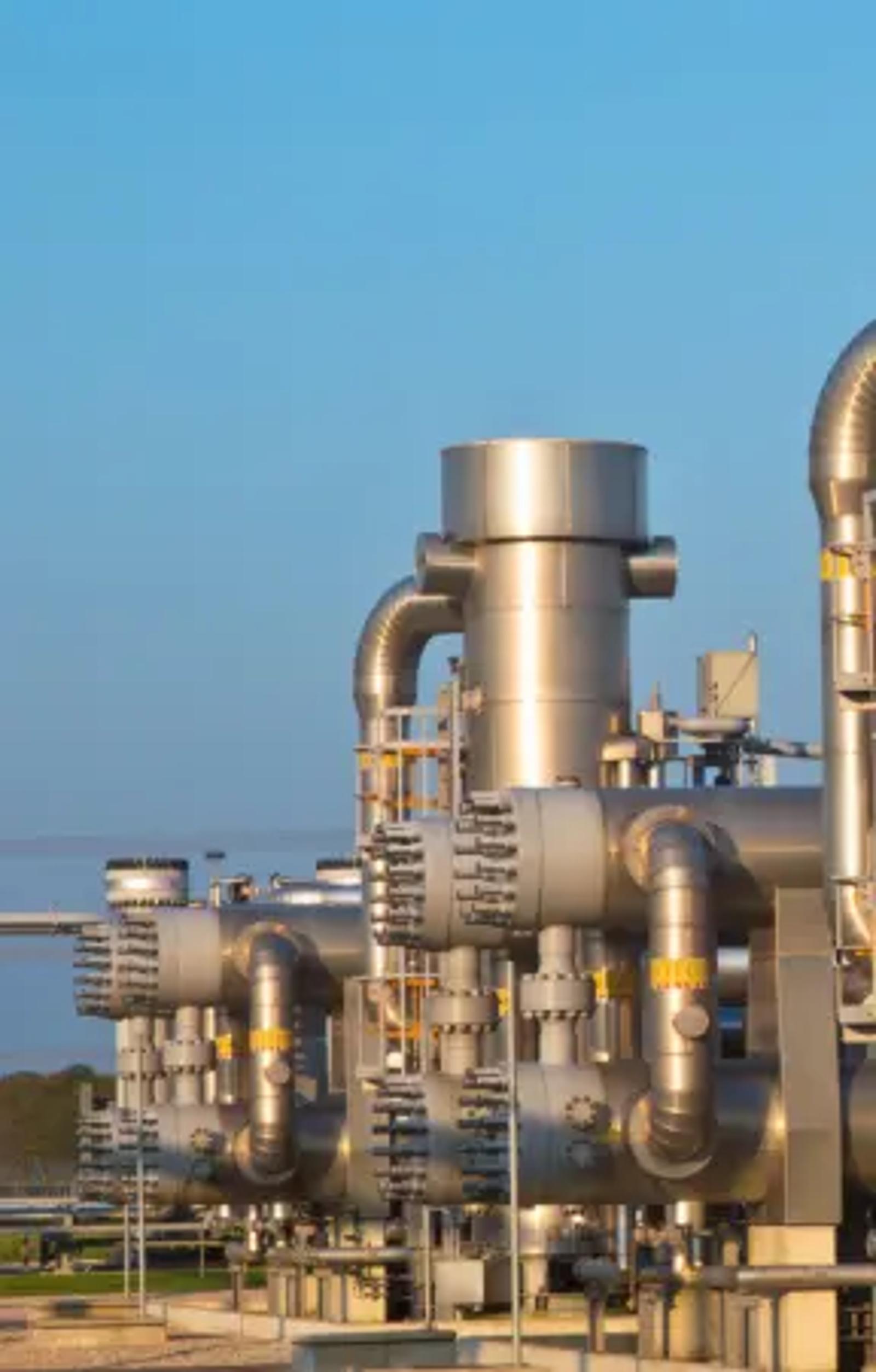 Biogas industry