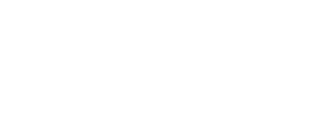 Ravizza.png