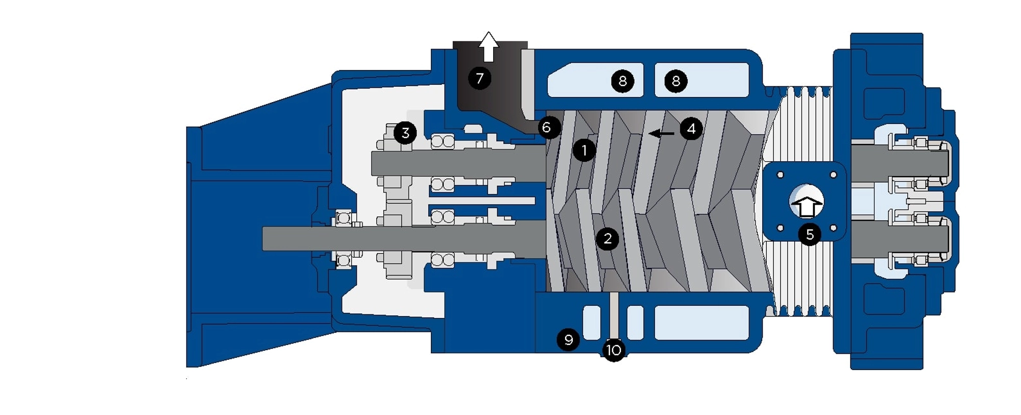 Dry Screw Vacuum Pump cutaway image Principle of Operation 