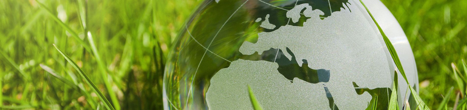 Biogas Production NASH