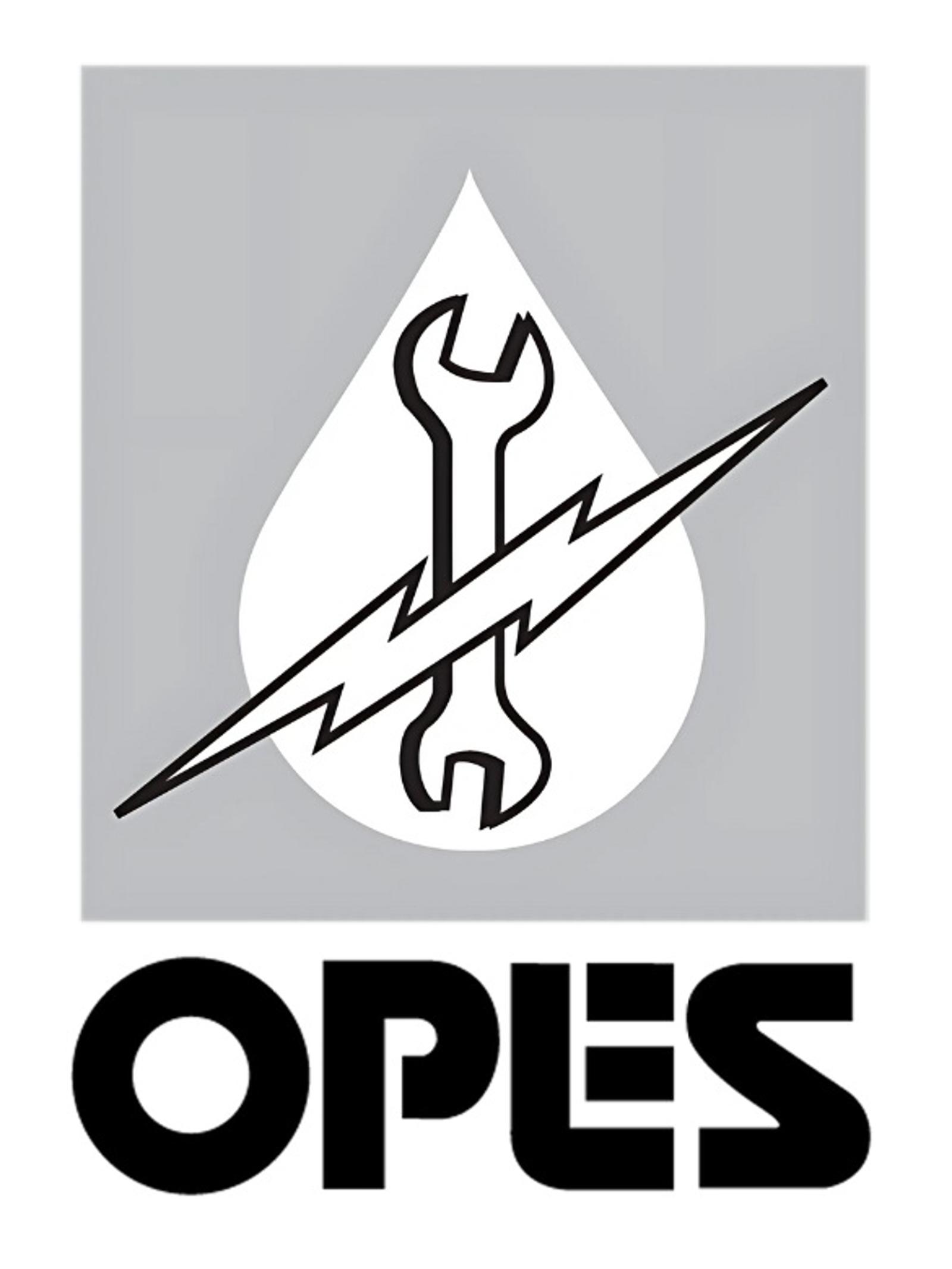 Oman.OHI OPES Logo.jpg