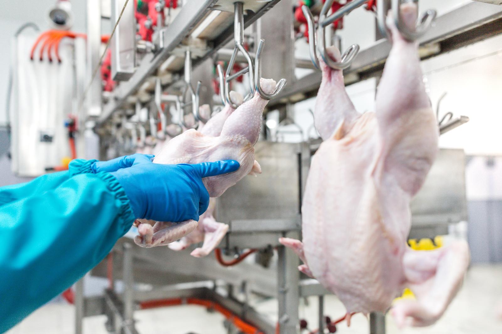 NASH vacuum systems installed in poultry processing image