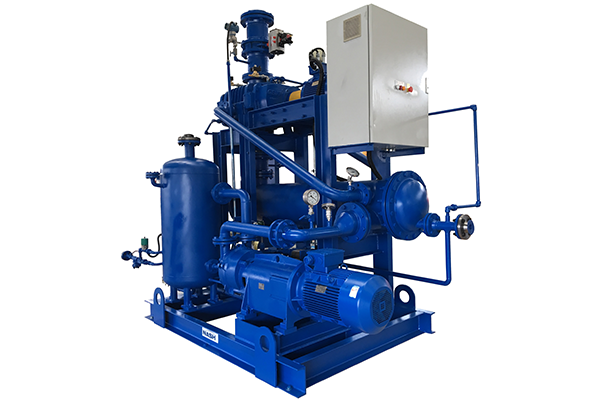 Booster Hybrid Vacuum Systems NASH