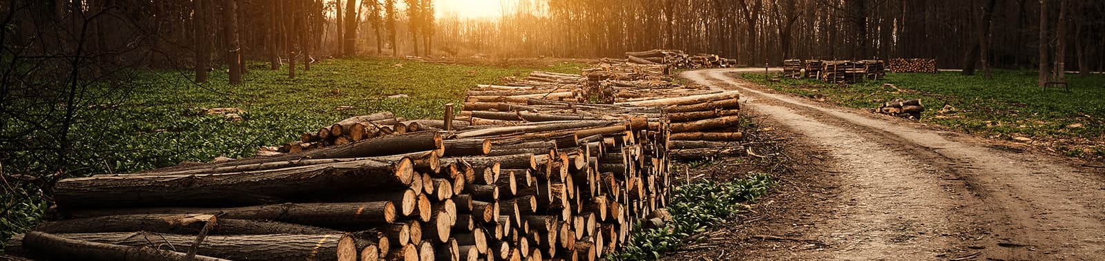 wood-treating-banner-web-min.png