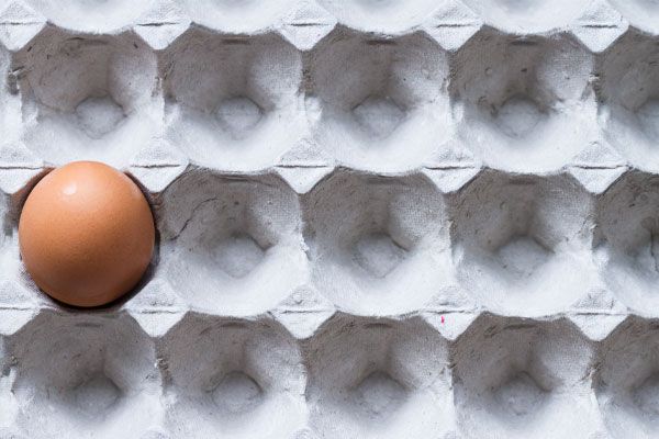 Bombas de vacío para procesamiento de fibra moldeada banner