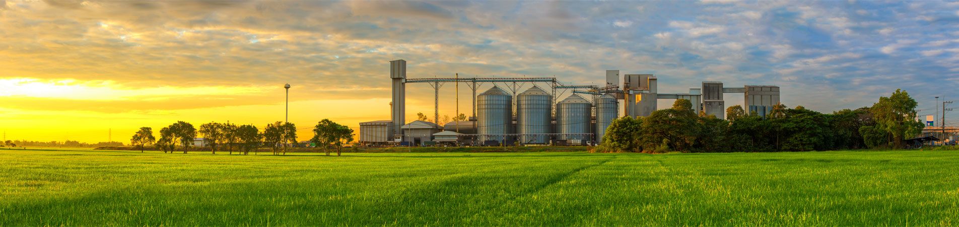 Food & Beverage banner NASH