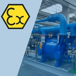 Atex certified pumps teaser.webp