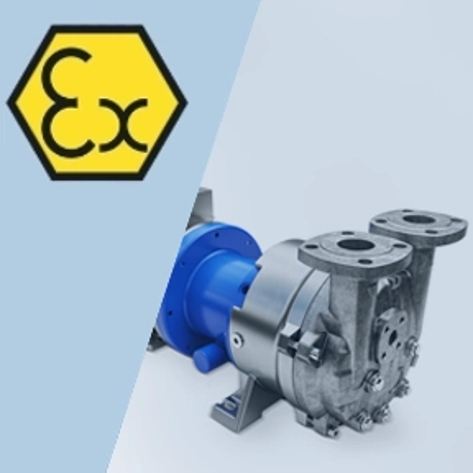 Atex certified pumps teaser.webp