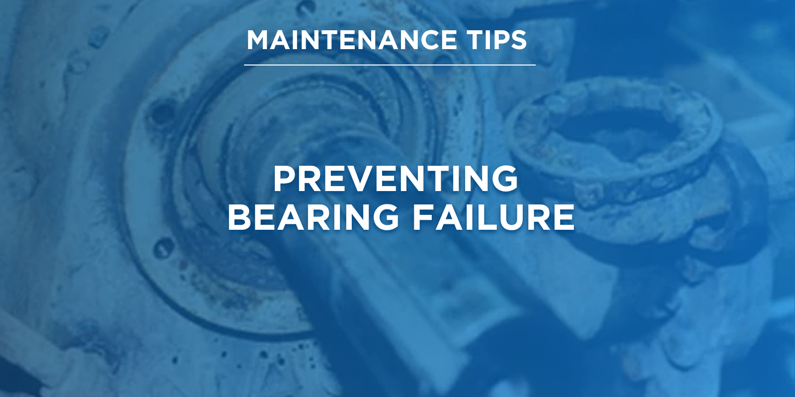 Preventing  Bearing Failure.png