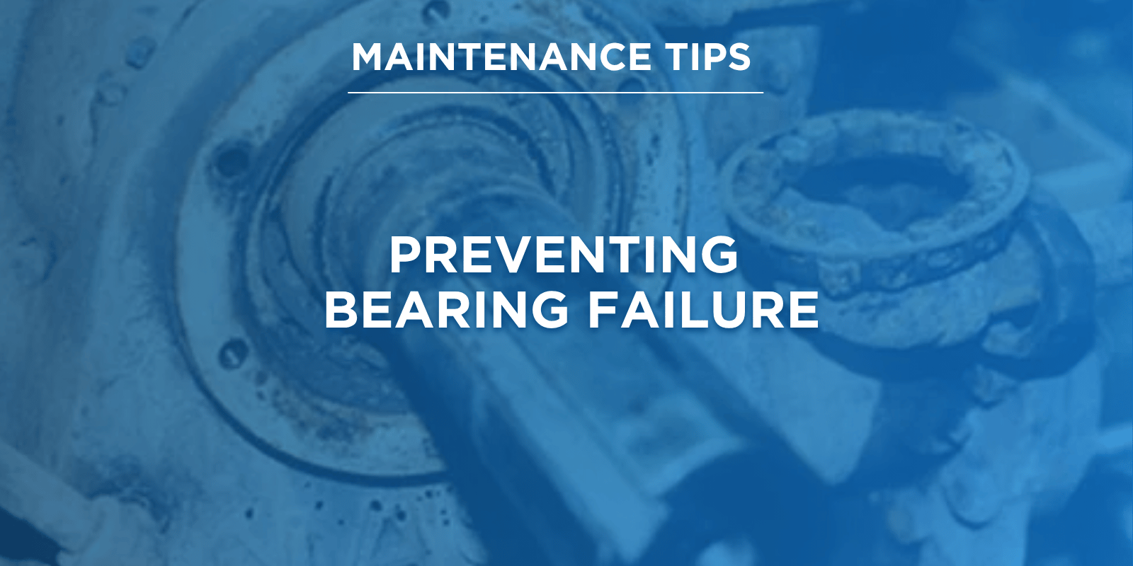 Preventing Bearing Failure.png