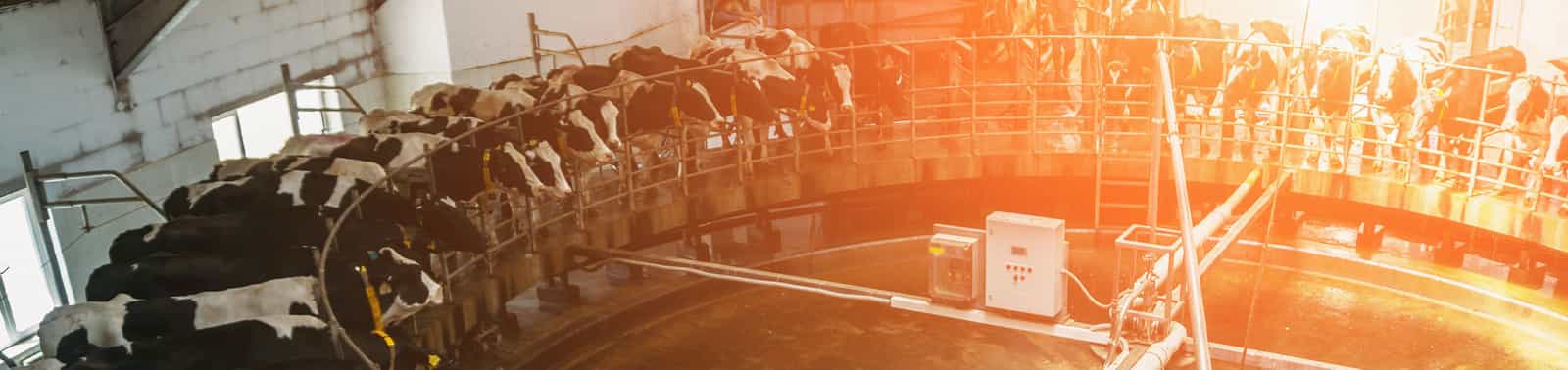 Milking Systems banner NASH