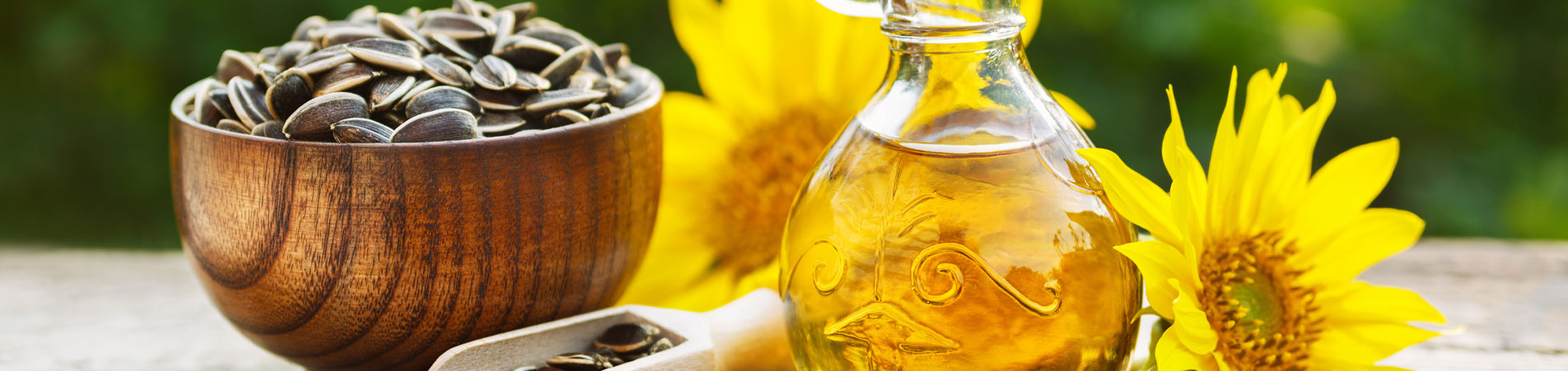 Deodorizing of Edible Oils and Fats banner
