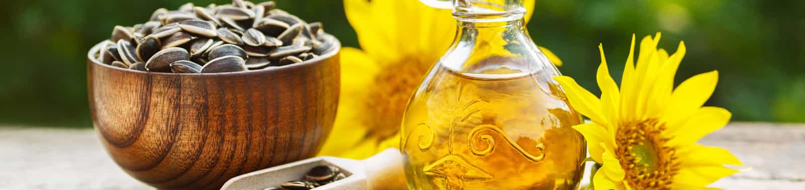 Deodorizing of Edible Oils and Fats banner