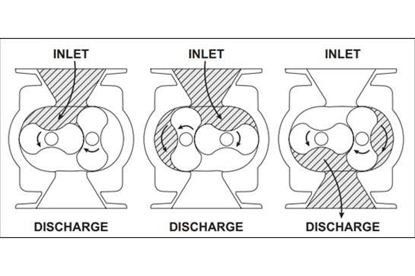 Roots blower Inlet and discharge illustration