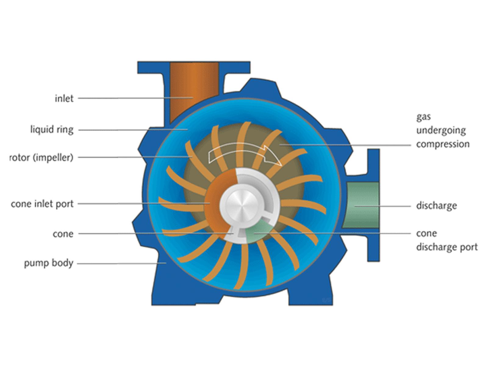 A Look Inside A Liquid Ring Vacuum Pump back