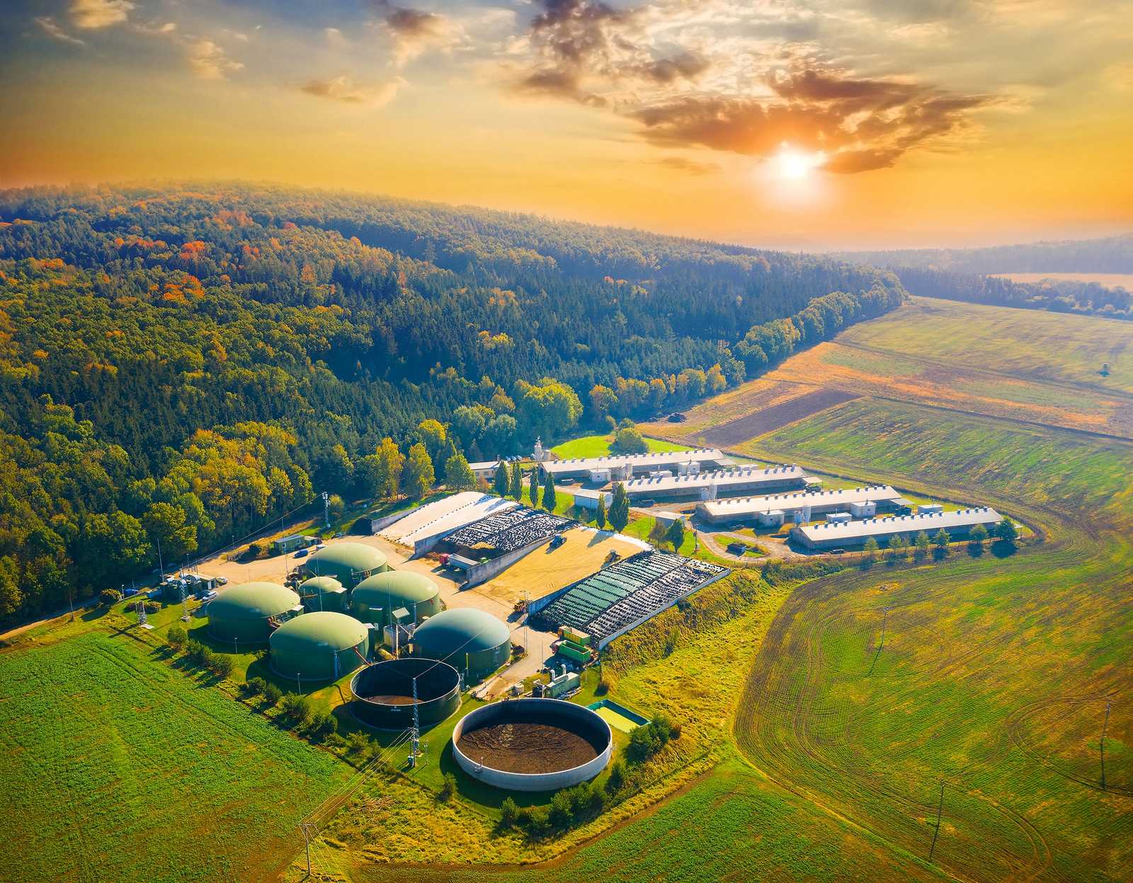 biogas industry