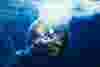 wastewatertreatmentplant_web.png