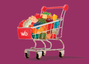 Web Slider 1