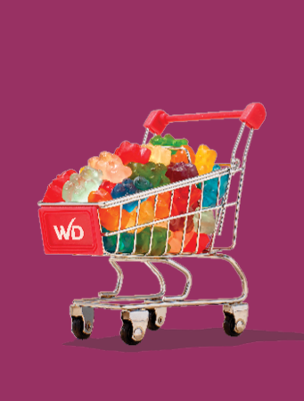 Web Slider 1