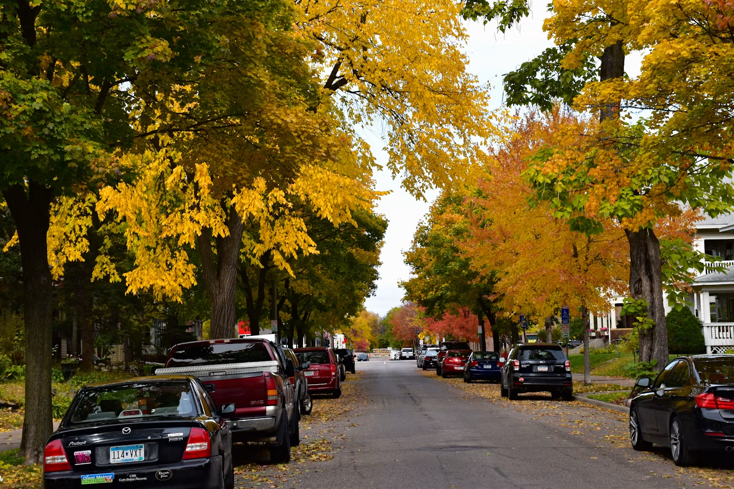 A residential street in Minneapolis, Minnesota, is lined with cars and autumn-colored trees.