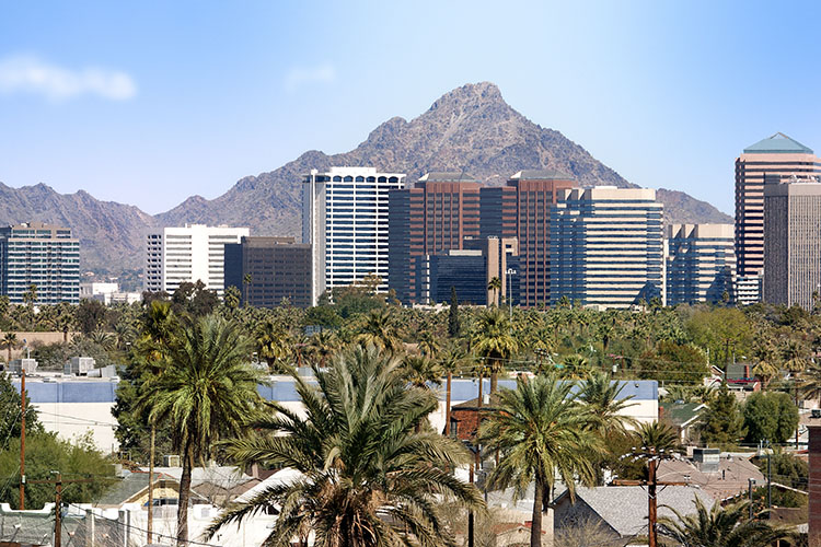 The skyline of the city of Scottsdale, Arizona. It is lined with palm and other types of trees.