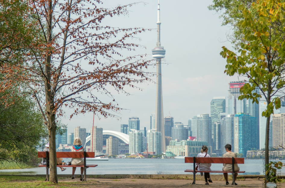 A view of the CN tower and the Toronto, ON from a park. A great thing to do when living in Toronto.