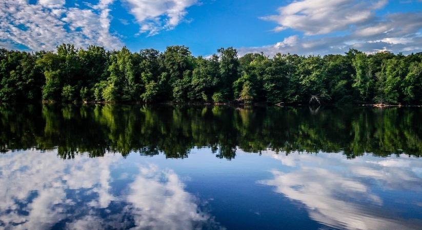 A mirror-like reflection of a bright blue and cloudy sky with trees along the embankment of the Catawba River.