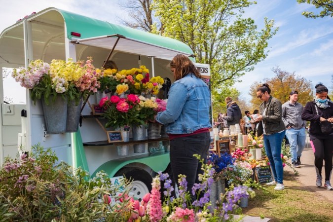 A woman living in Rochester, NY, is checking out flowers at the Rochester Lilac Festival in Highland Park.