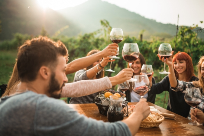 A group of friends raise their glasses while sharing a meal in a Napa Valley vineyard with a view of the mountains in the distance.