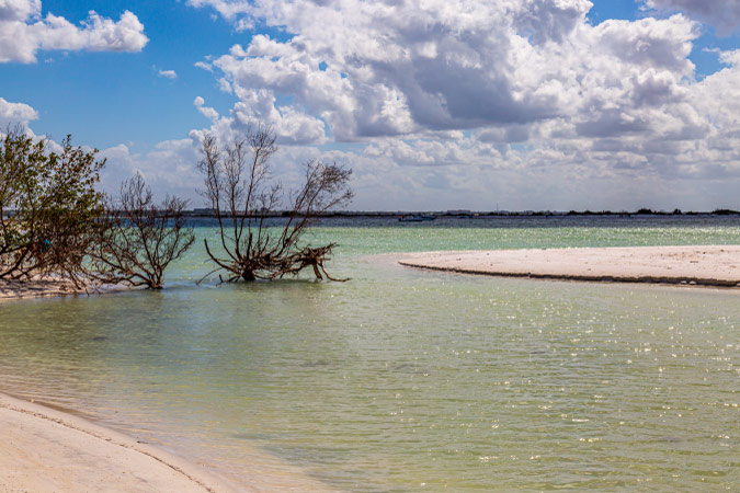 Gulf waters are glistening in the sun at Honeymoon Island near Clearwater, Florida, on a sunny day.