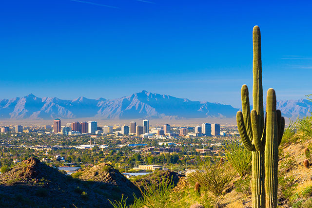 A green cactus is the focus of the image. In the background is the skyline of the city of Phoenix, Arizona. Behind the city are mountains.