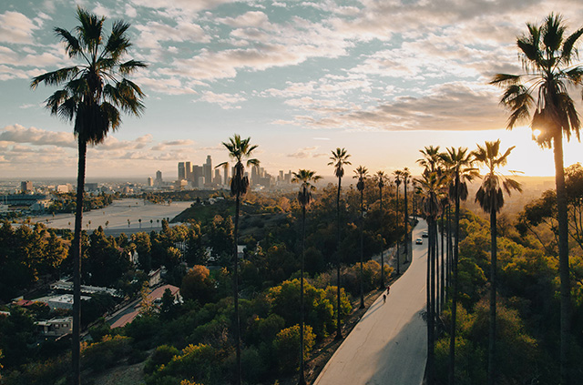 A walkway in Santa Monica, California at sunet. Palm trees line the walk and downtown Los Angeles hangs in the background