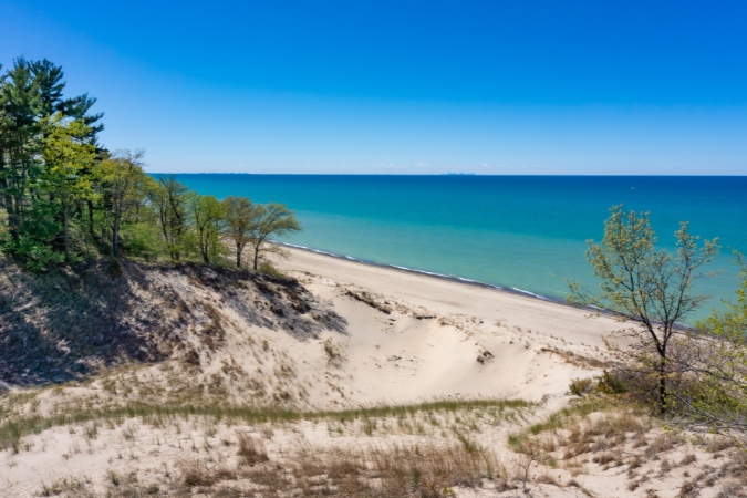 Sandy dunes dotted with scattered trees overlook the shoreline at Indiana Dunes National Park — a great place to find outdoor things to do in Indiana.