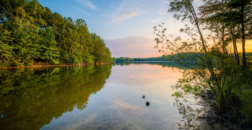 Two ducks are floating down Lake Norman at Parham Park in Davidson, NC.