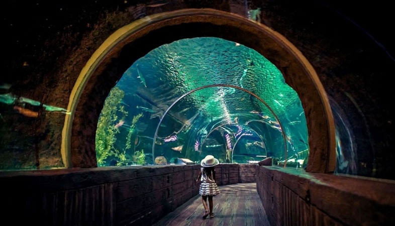 A young girl in a white hat is walking through the Ocean Tunnel at SEA LIFE Aquarium in the Mall of America.