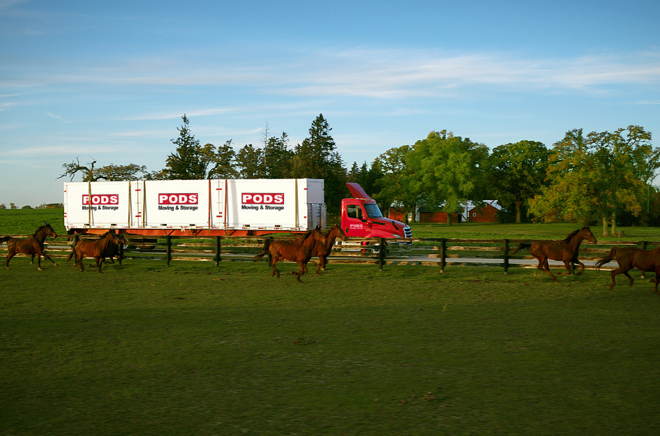 A PODS truck passes two horses as it completes a move going from California to Texas.