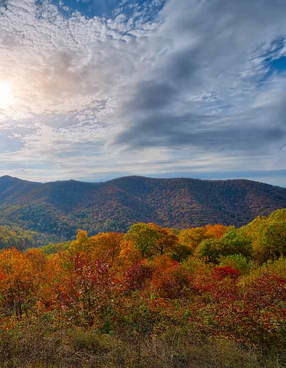 PODS Moving and Storage Shenandoah Valley