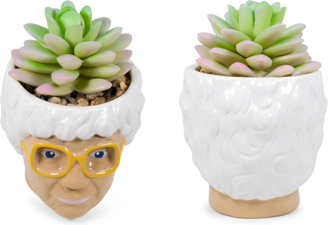 Two small ceramic planters shaped like the head of Sophia — the mother on The Golden Girls — with white hair, yellow glasses, and a succulent planted in each planter.