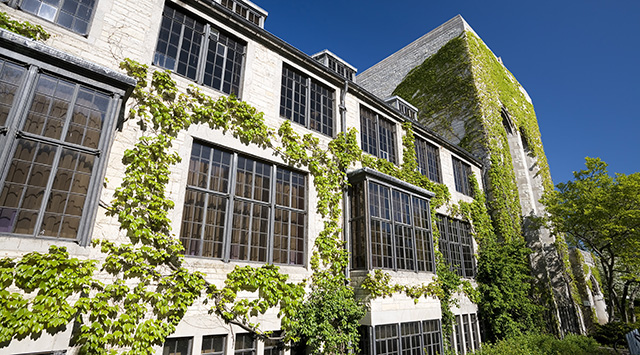 Vine-clad halls at Northwestern University