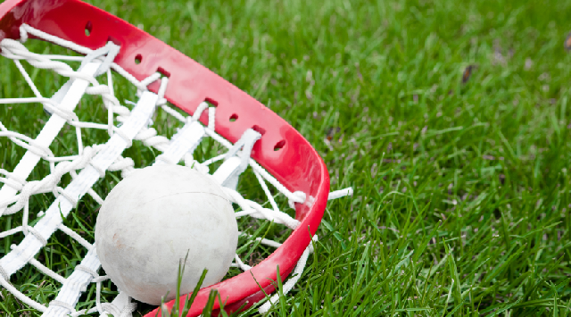 Lacrosse stick and ball on grass