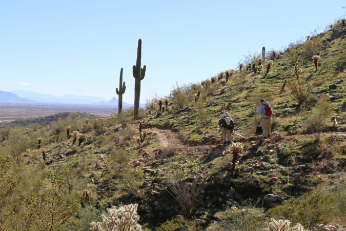 View of two hikers at Casa Grande Mountain in Casa Grande, AZ, featuring shrubs, cactus plants, and rolling hills with a desert in the background.