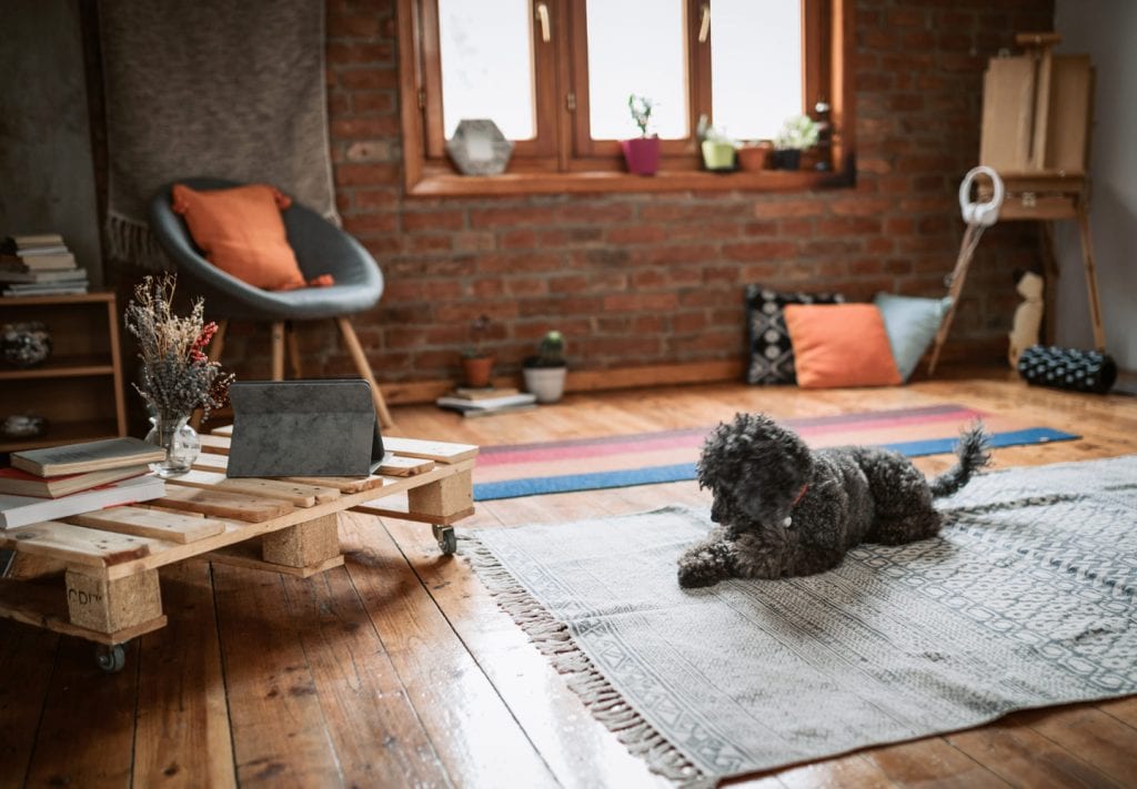 A picture containing indoor, floor, room, wall
Description automatically generated