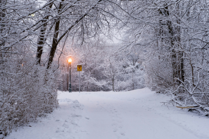 A snow covered road surrounded by trees in Rochester, MN.