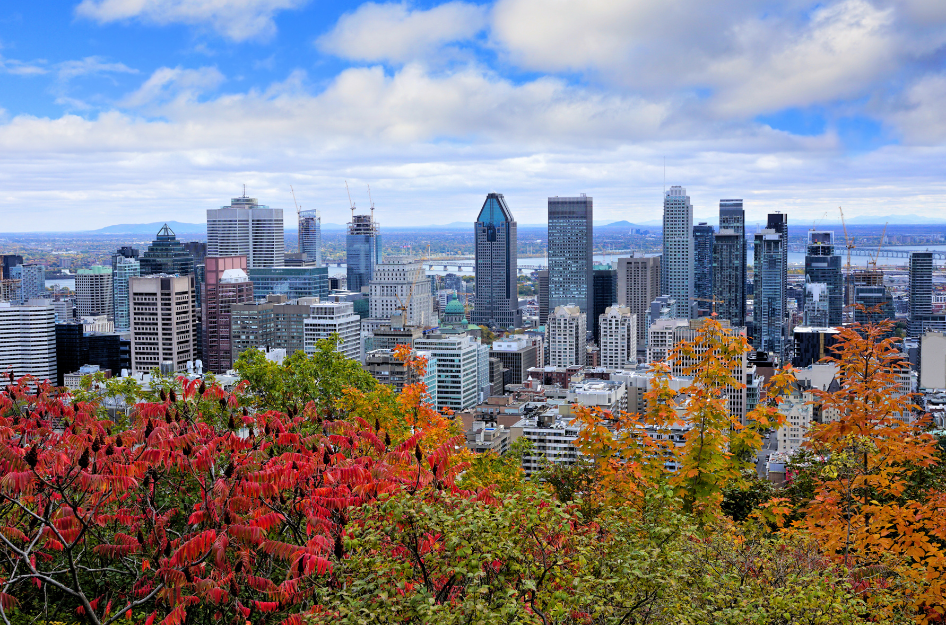 The skyline of Montreal, QC, one of the most affordable Canadian cities. The skyline is surrounded by fall foliage.