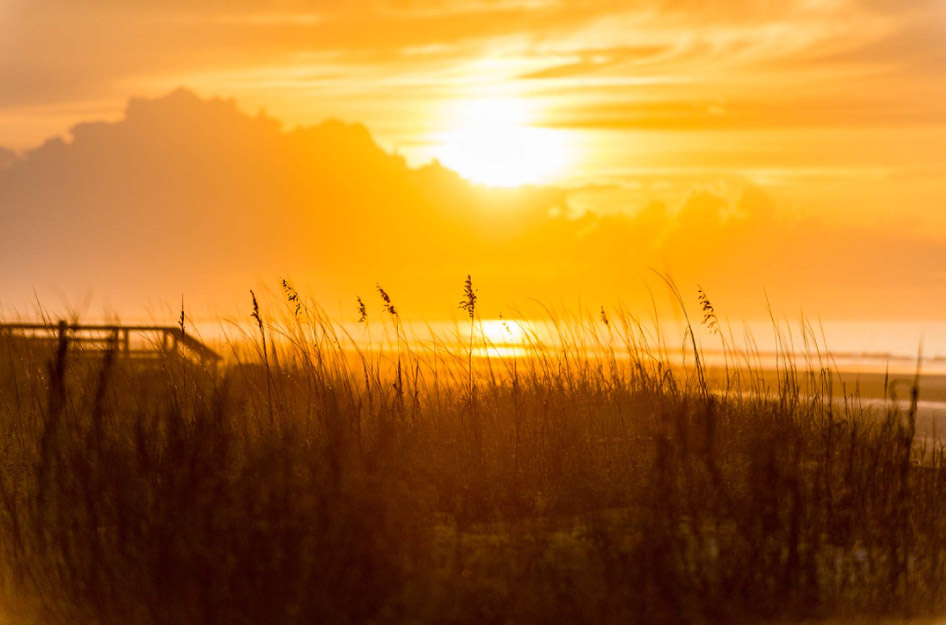 View of the beach at sunset through grassy sand dunes on Kiawah Island in South Carolina.