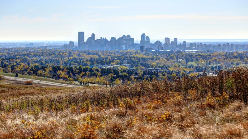 A distant view of the downtown buildings in Calgary as seen from Nose Hill Park near Edgemont — one of the best neighbourhoods in Calgary.