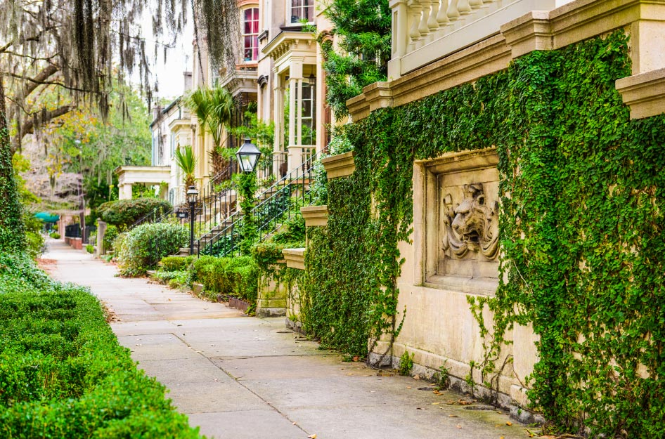 View down a sidewalk in the Savannah Historic District neighborhood, featuring beautiful townhomes covered in ivy.
