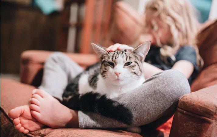 A young girl with curly, blonde hair is sitting on an upholstered chair with her cat. 