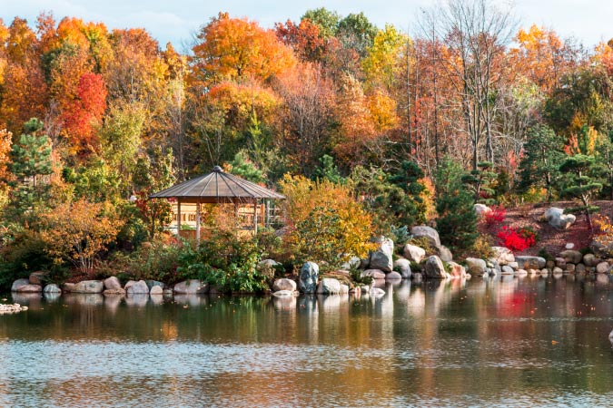 View of the Japanese gardens at the Frederik Meijer Gardens, featuring a gazebo, lake, and fall foliage — a popular spot for those visiting or living in Grand Rapids, MI.