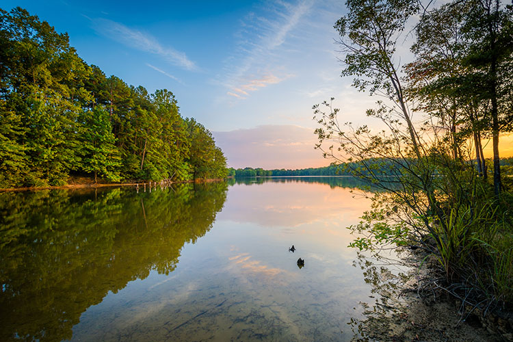 A lush river in Davidson, NC as the sun hangs over the horizon
